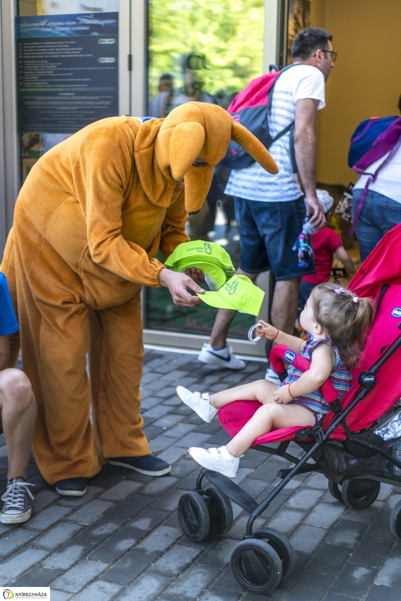 Családok éve gyermeknapi program az Állatparkban - fotó Kohut Árpád