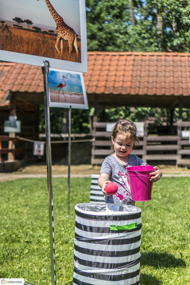 Családok éve gyermeknapi program az Állatparkban - fotó Kohut Árpád