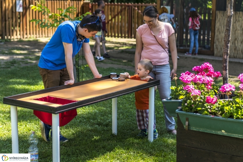 Családok éve gyermeknapi program az Állatparkban - fotó Kohut Árpád