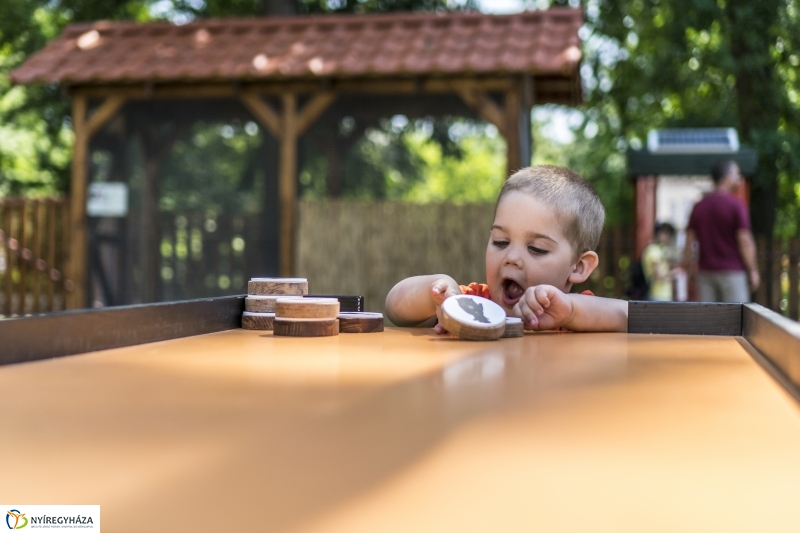 Családok éve gyermeknapi program az Állatparkban - fotó Kohut Árpád