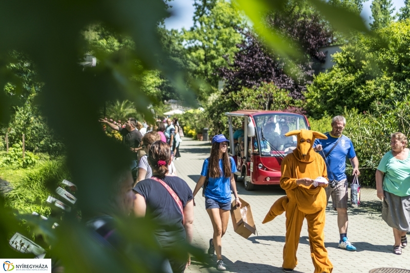 Családok éve gyermeknapi program az Állatparkban - fotó Kohut Árpád