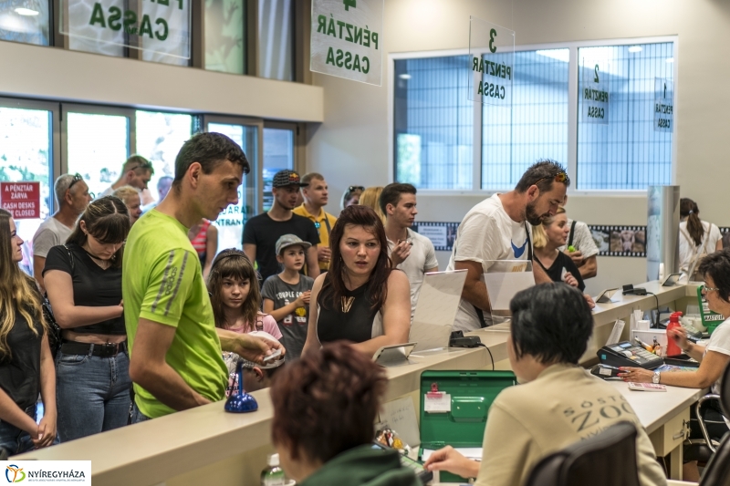 Családok éve gyermeknapi program az Állatparkban - fotó Kohut Árpád