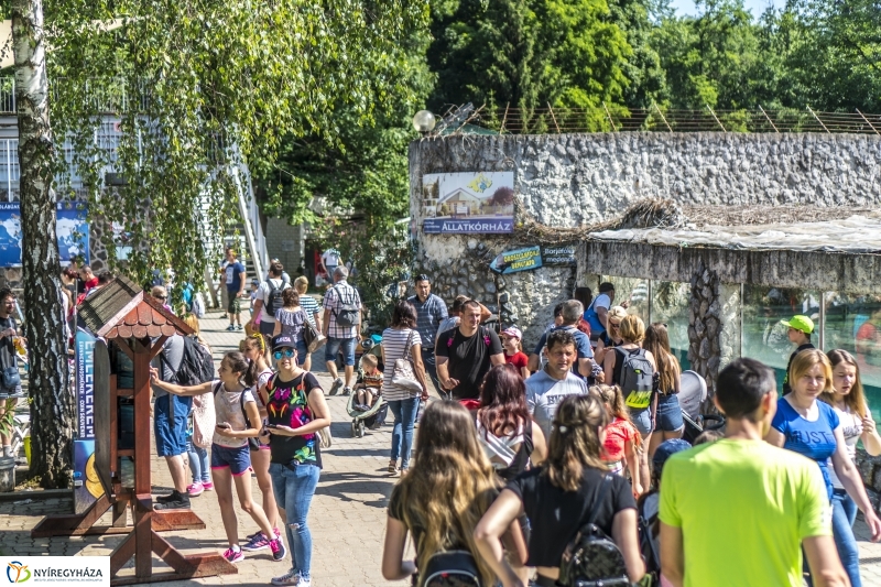 Családok éve gyermeknapi program az Állatparkban - fotó Kohut Árpád