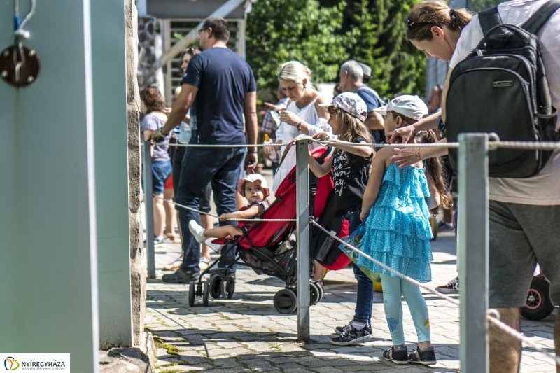 Családok éve gyermeknapi program az Állatparkban - fotó Kohut Árpád