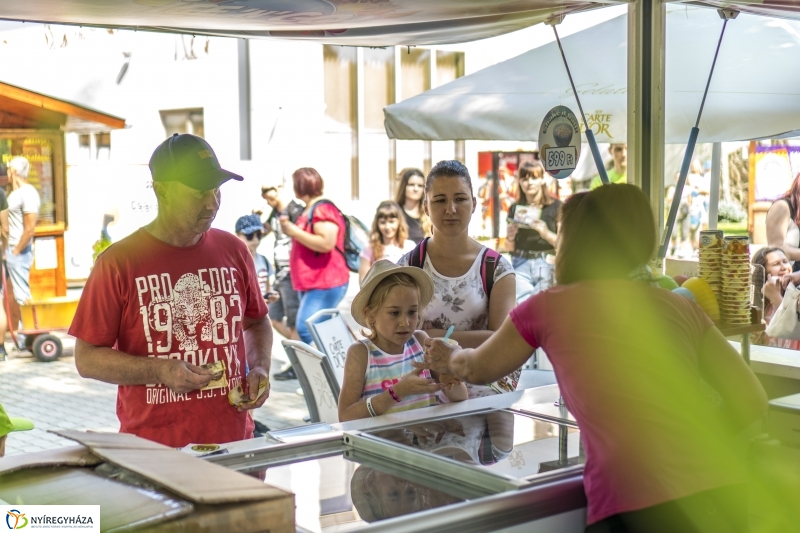 Családok éve gyermeknapi program az Állatparkban - fotó Kohut Árpád