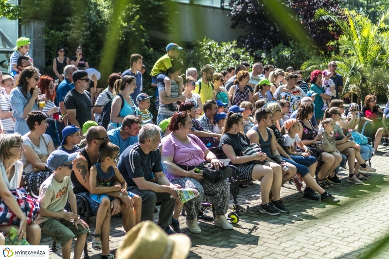 Családok éve gyermeknapi program az Állatparkban - fotó Kohut Árpád