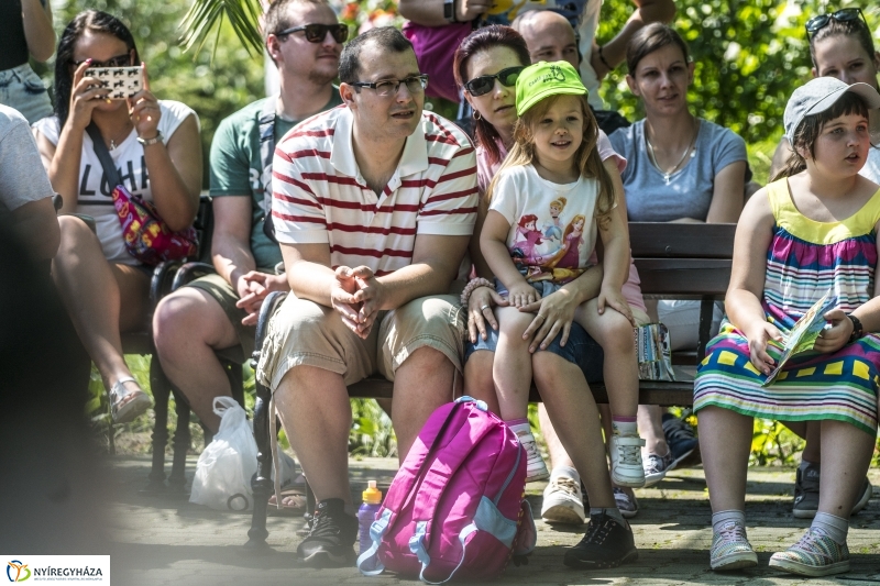 Családok éve gyermeknapi program az Állatparkban - fotó Kohut Árpád