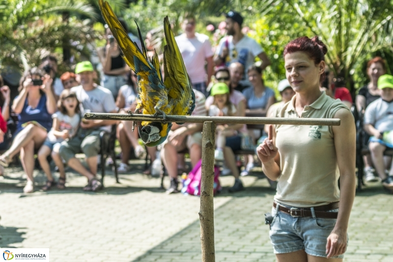 Családok éve gyermeknapi program az Állatparkban - fotó Kohut Árpád