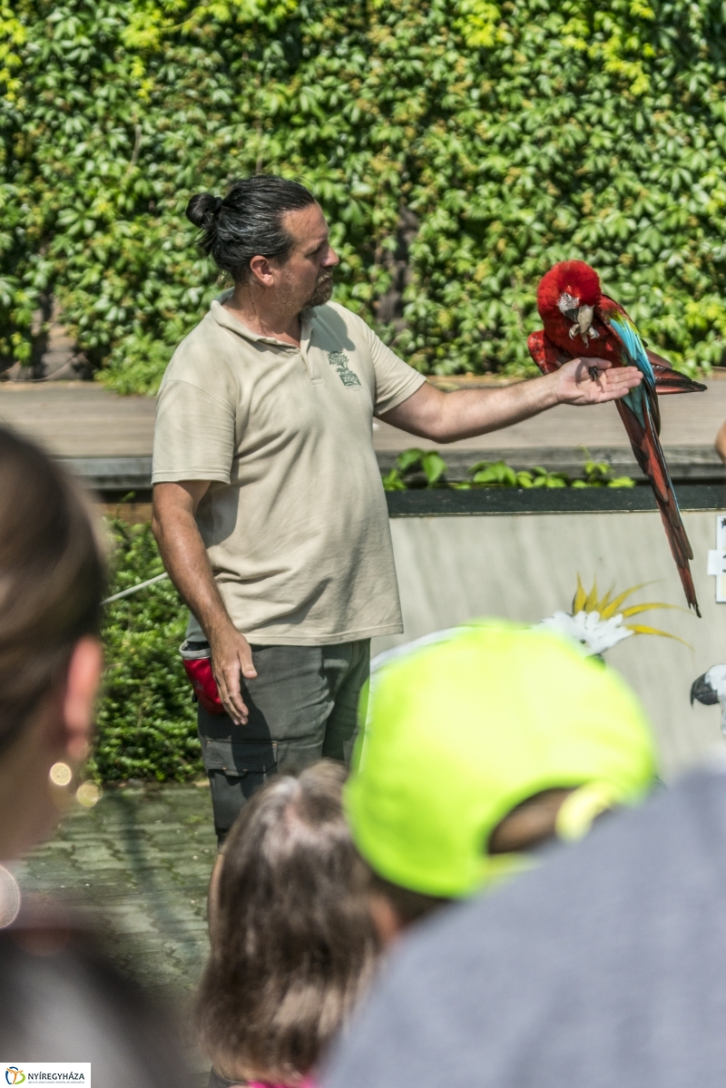 Családok éve gyermeknapi program az Állatparkban - fotó Kohut Árpád