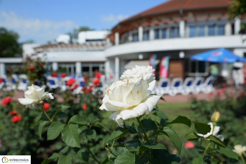 Szombattól strandolhatunk - fotó Trifonov Éva