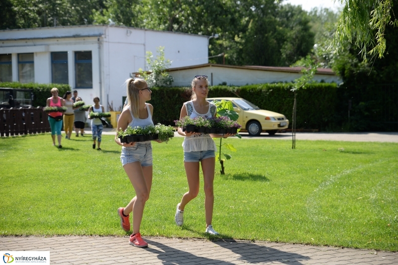 Szombattól strandolhatunk - fotó Trifonov Éva