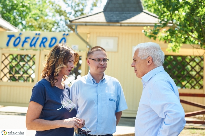 Bringafa Sóstón - fotó Szarka Lajos