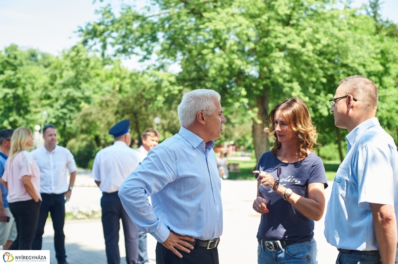 Bringafa Sóstón - fotó Szarka Lajos