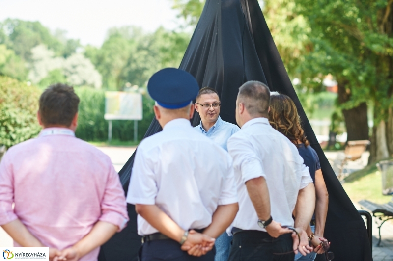 Bringafa Sóstón - fotó Szarka Lajos