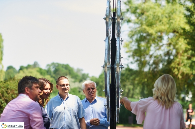 Bringafa Sóstón - fotó Szarka Lajos