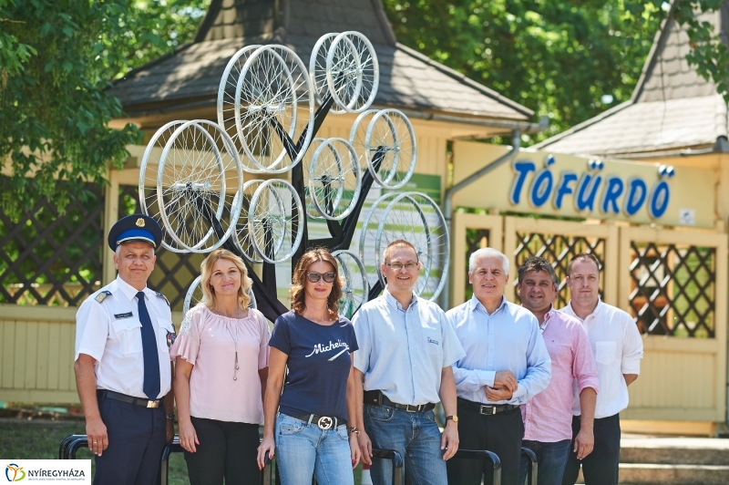 Bringafa Sóstón - fotó Szarka Lajos