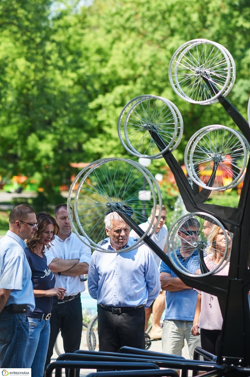 Bringafa Sóstón - fotó Szarka Lajos