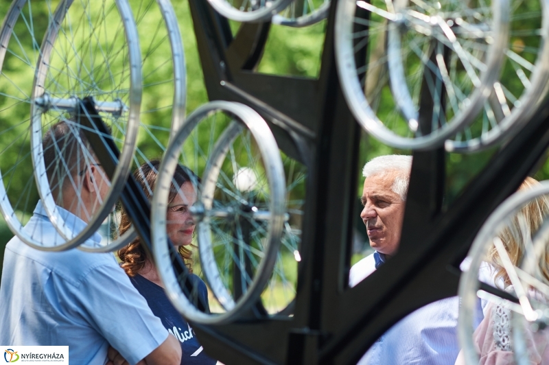 Bringafa Sóstón - fotó Szarka Lajos