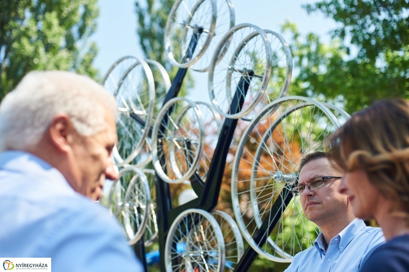 Bringafa Sóstón - fotó Szarka Lajos