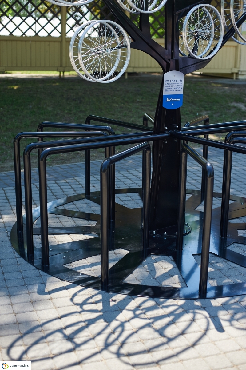 Bringafa Sóstón - fotó Szarka Lajos