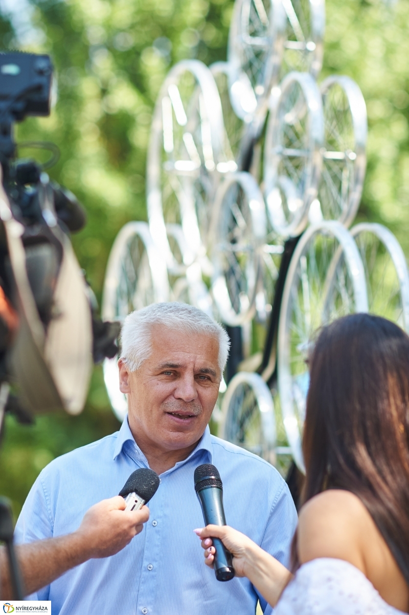 Bringafa Sóstón - fotó Szarka Lajos