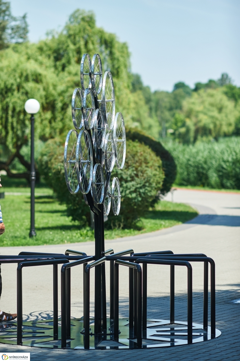 Bringafa Sóstón - fotó Szarka Lajos