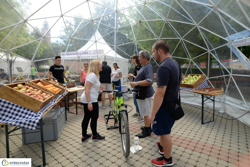 Michelin Bringafesztivál 2018 - fotó Trifonov Éva