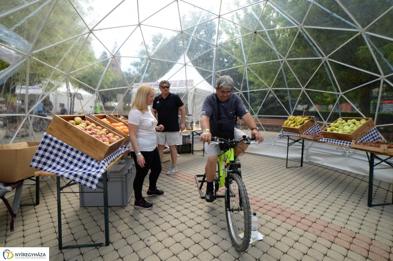 Michelin Bringafesztivál 2018 - fotó Trifonov Éva