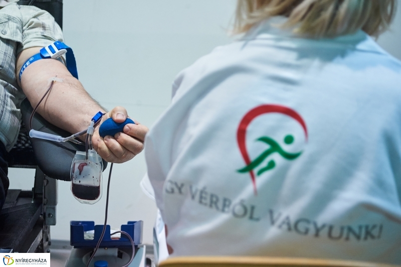 Egy vérből vagyunk - fotó Szarka Lajos