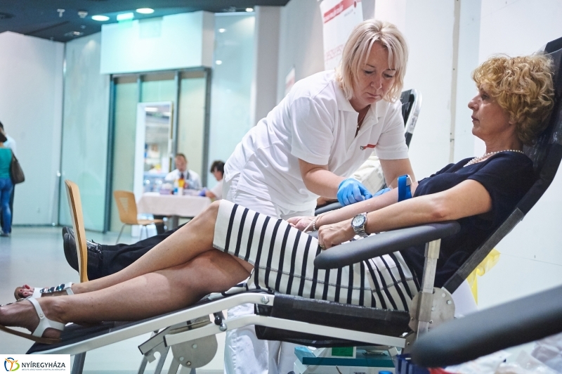 Egy vérből vagyunk - fotó Szarka Lajos