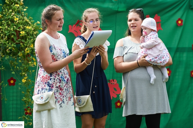 Ballagtak a Mustármagosok - fotó Szarka Lajos