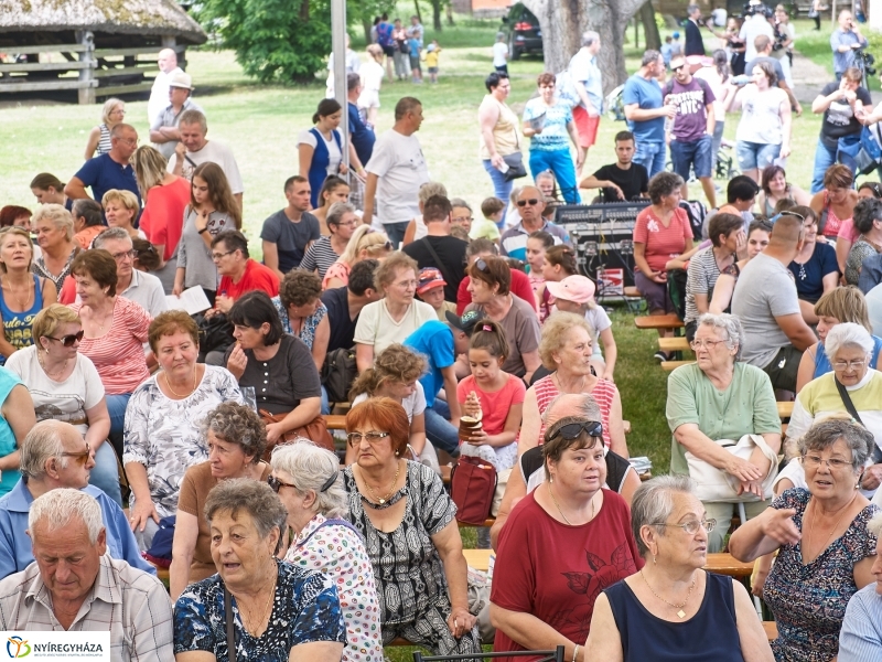 Kárpátaljai Családok Fesztiválja 2018 - fotó Szarka Lajos