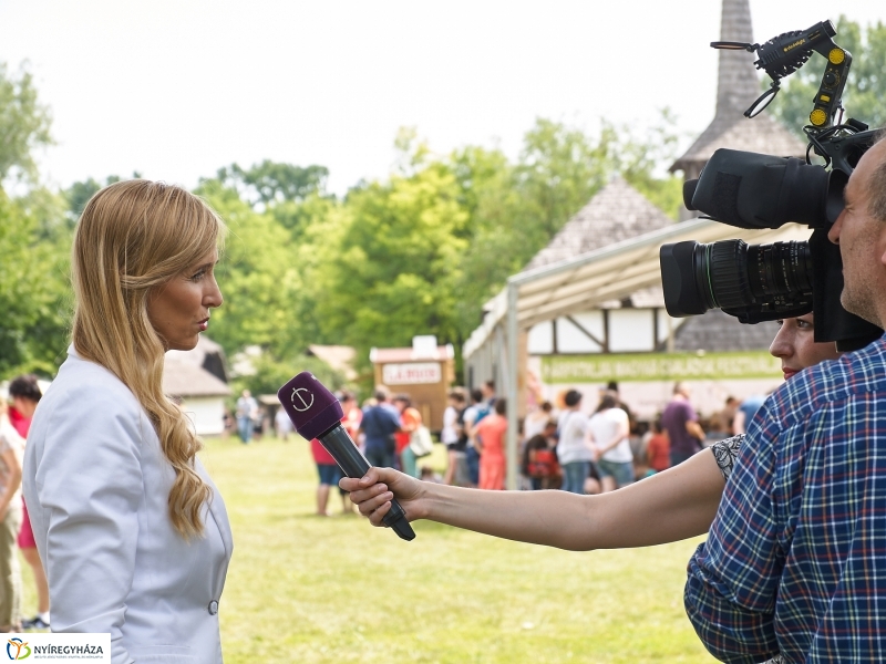 Kárpátaljai Családok Fesztiválja 2018 - fotó Szarka Lajos