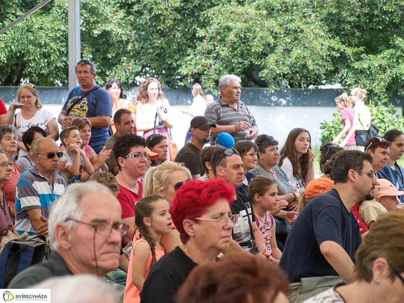 Kárpátaljai Családok Fesztiválja 2018 - fotó Szarka Lajos