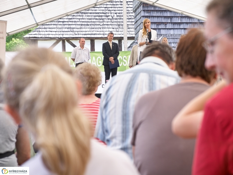 Kárpátaljai Családok Fesztiválja 2018 - fotó Szarka Lajos