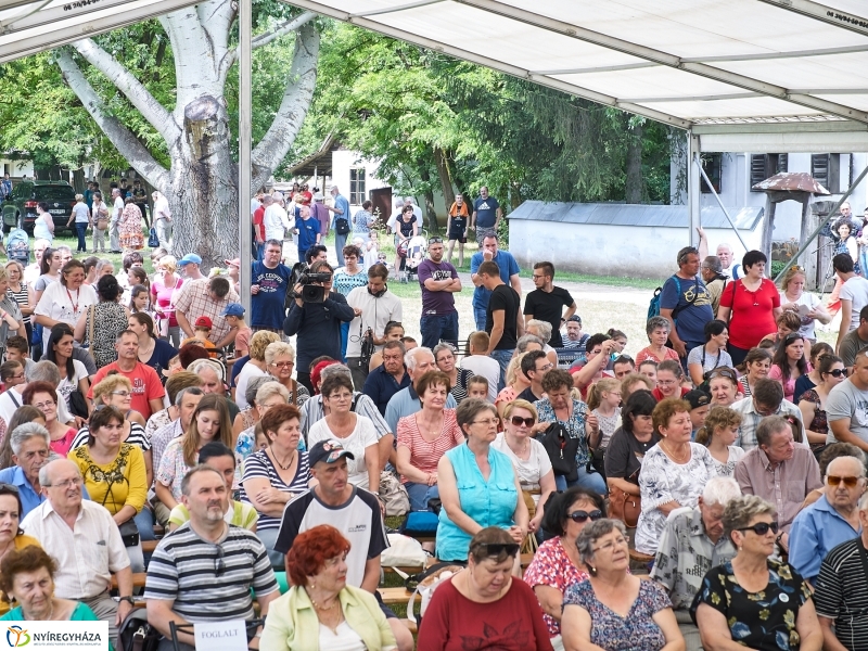Kárpátaljai Családok Fesztiválja 2018 - fotó Szarka Lajos