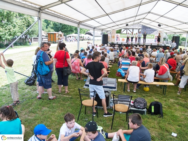 Kárpátaljai Családok Fesztiválja 2018 - fotó Szarka Lajos