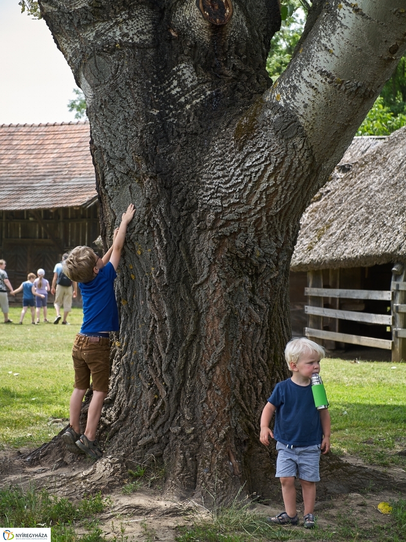 Kárpátaljai Családok Fesztiválja 2018 - fotó Szarka Lajos