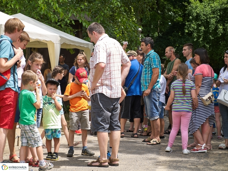 Kárpátaljai Családok Fesztiválja 2018 - fotó Szarka Lajos