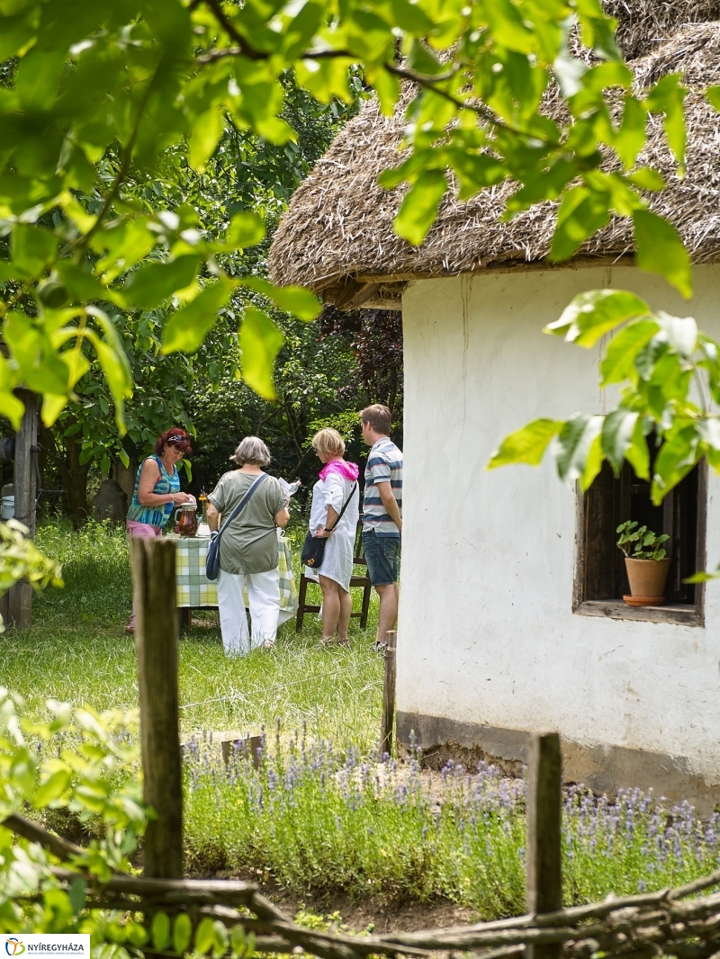 Kárpátaljai Családok Fesztiválja 2018 - fotó Szarka Lajos