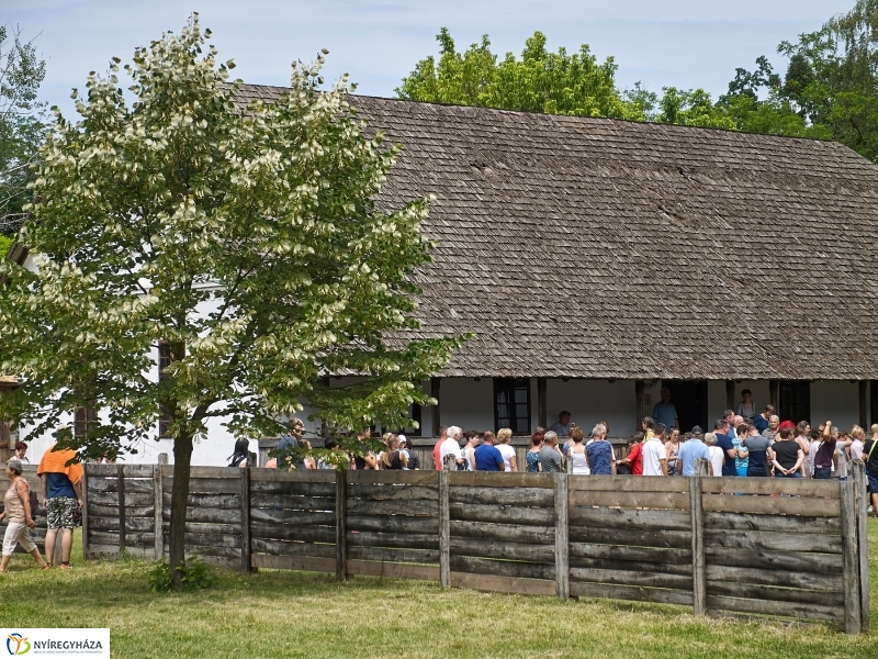 Kárpátaljai Családok Fesztiválja 2018 - fotó Szarka Lajos