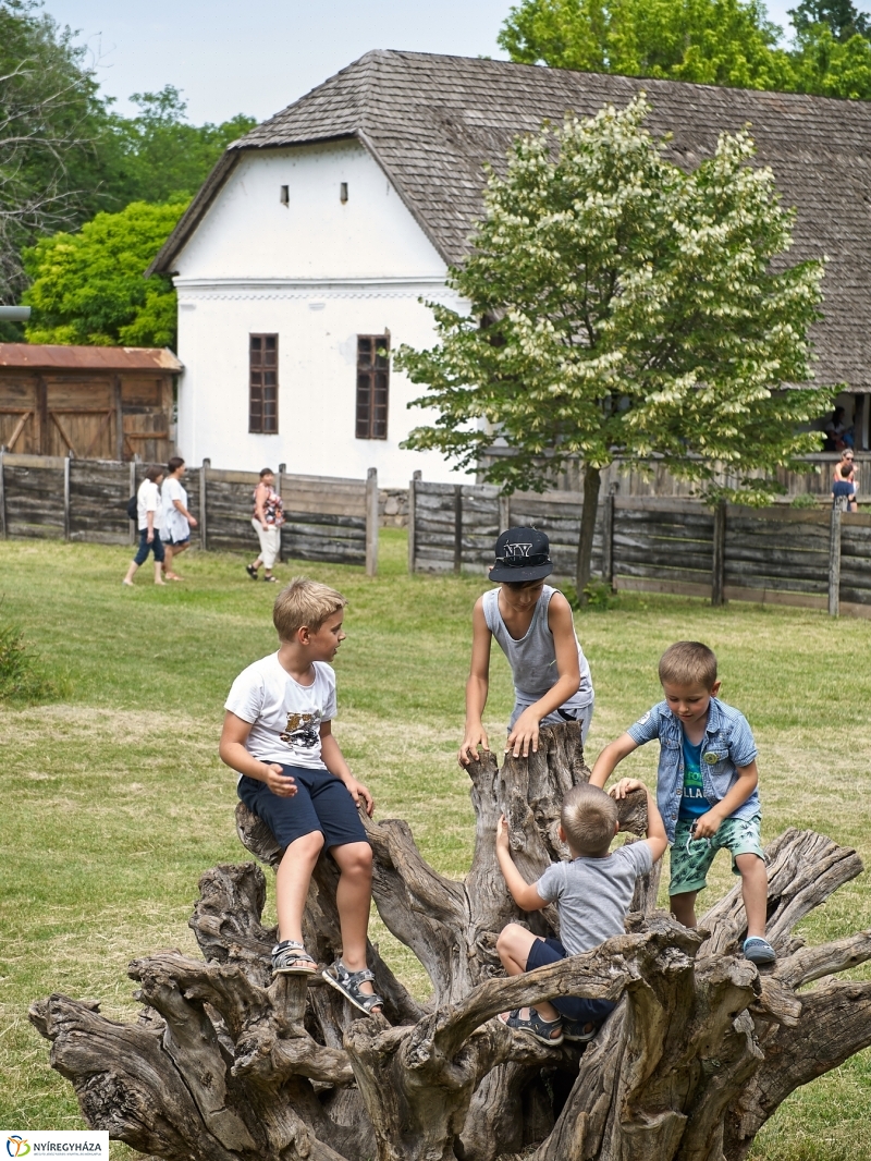Kárpátaljai Családok Fesztiválja 2018 - fotó Szarka Lajos