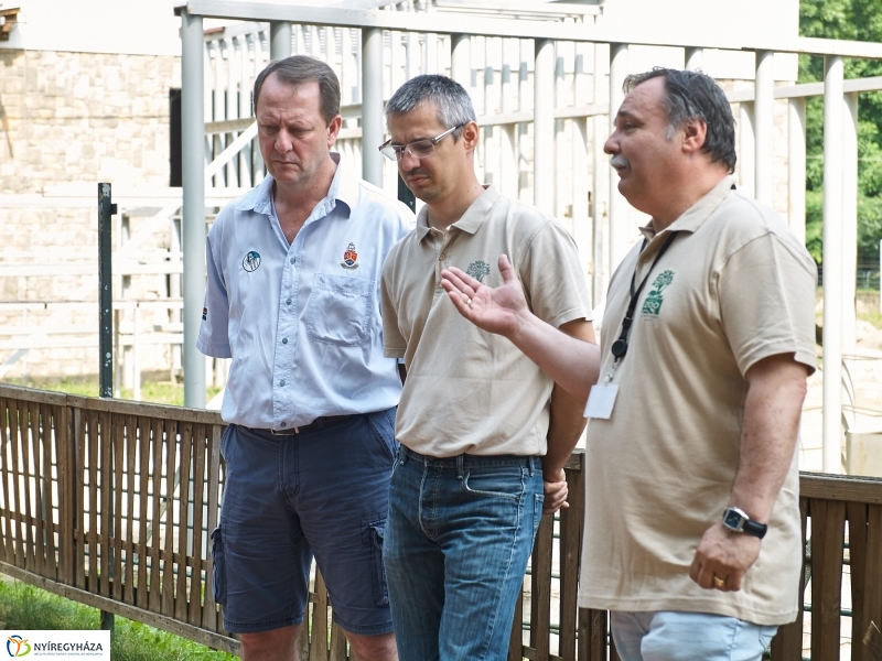 Kis elefánt fogászaton - fotó Szarka Lajos