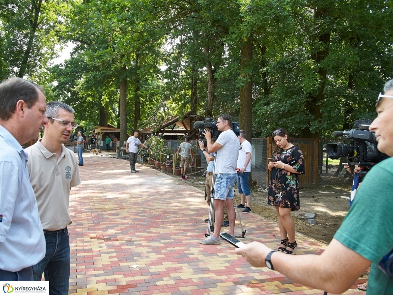 Kis elefánt fogászaton - fotó Szarka Lajos