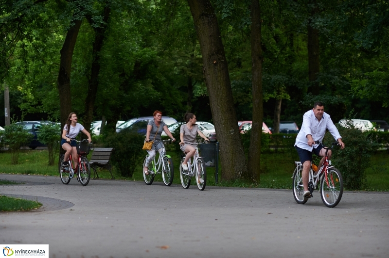 Júniusi nyári este Sóstón - fotó Szarka Lajos
