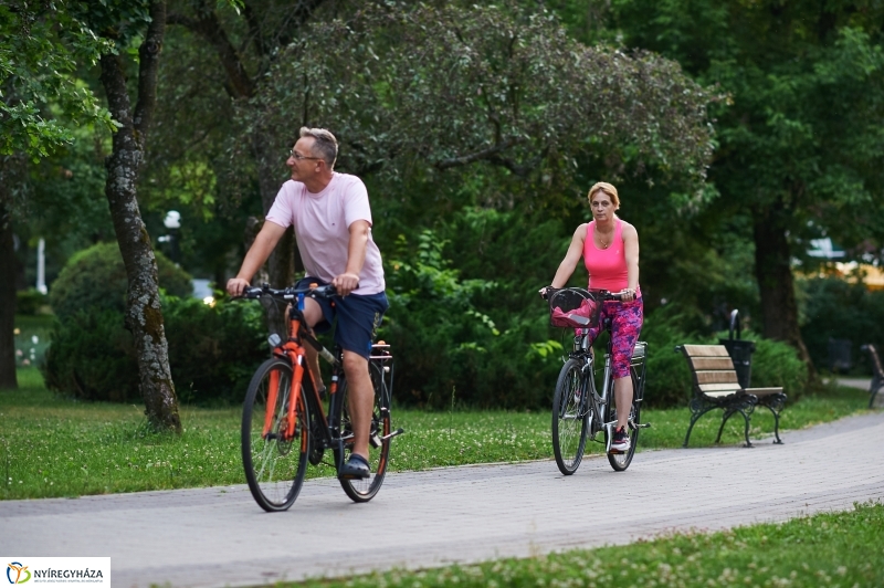 Júniusi nyári este Sóstón - fotó Szarka Lajos