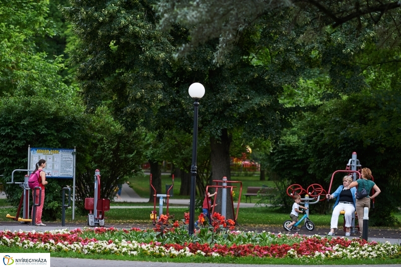 Júniusi nyári este Sóstón - fotó Szarka Lajos