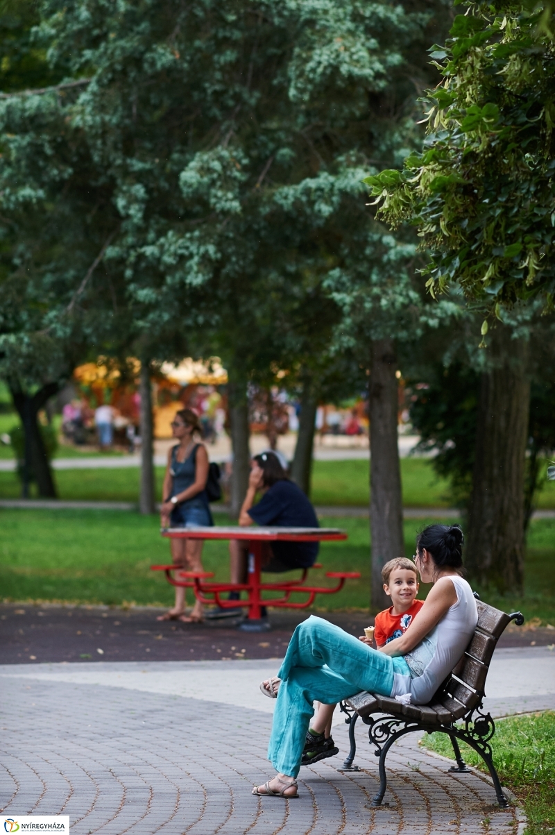 Júniusi nyári este Sóstón - fotó Szarka Lajos