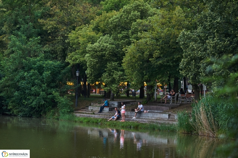 Júniusi nyári este Sóstón - fotó Szarka Lajos