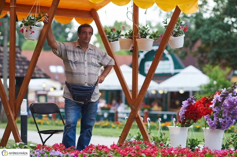 Piac és térzene Sóstón 2018 - fotó Szarka Lajos